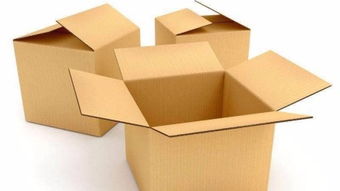 大紙箱 從紙板到實(shí)用包裝的藝術(shù)